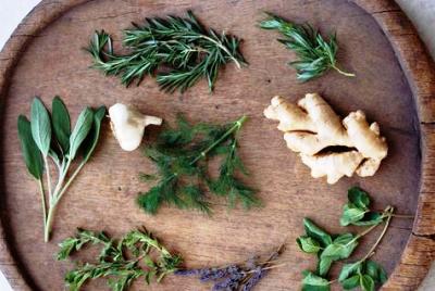 Healthy Herbs, Garlic, and Ginger Root on a Tray
