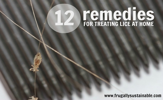 lice-feature