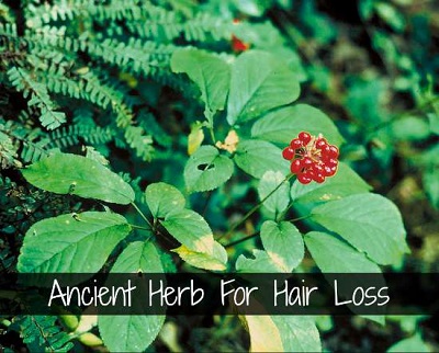 Ancient Herb For Hair Loss