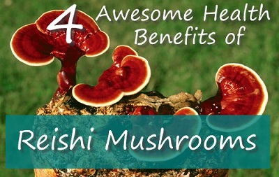 4 Awesome Health Benefits Of Reishi Mushrooms