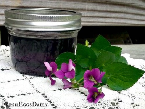 Homemade Violet Soda