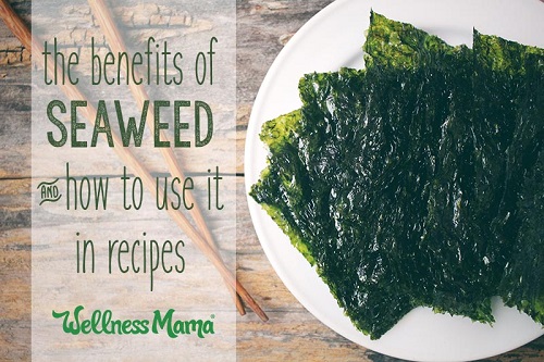 The Benefits of Seaweed