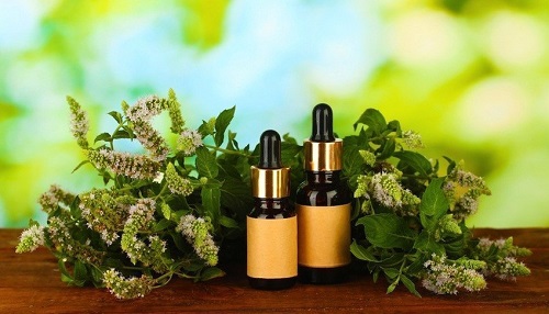 Common Ailments You Can Treat With Peppermint Oil
